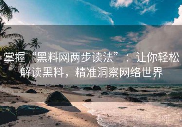 掌握“黑料网两步读法”：让你轻松解读黑料，精准洞察网络世界