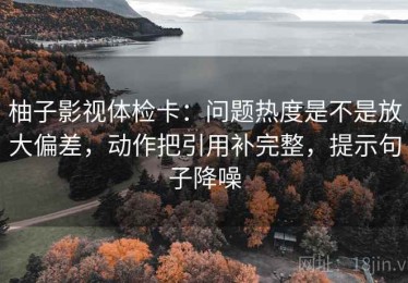 柚子影视体检卡：问题热度是不是放大偏差，动作把引用补完整，提示句子降噪