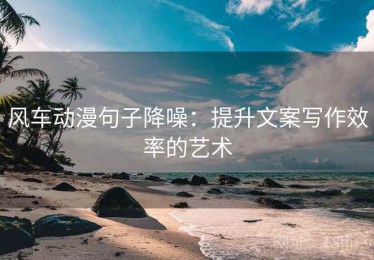 风车动漫句子降噪：提升文案写作效率的艺术