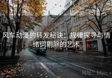 风车动漫的转发秘诀：规律探寻与情绪词剔除的艺术
