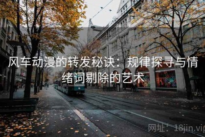 风车动漫的转发秘诀：规律探寻与情绪词剔除的艺术