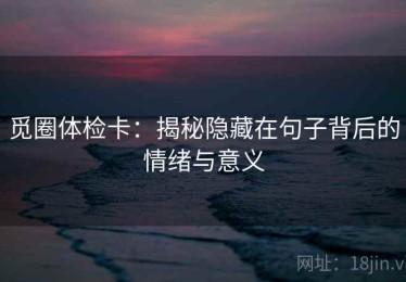 觅圈体检卡：揭秘隐藏在句子背后的情绪与意义