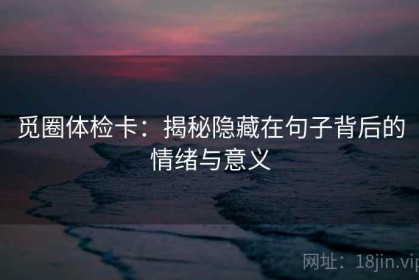 觅圈体检卡：揭秘隐藏在句子背后的情绪与意义