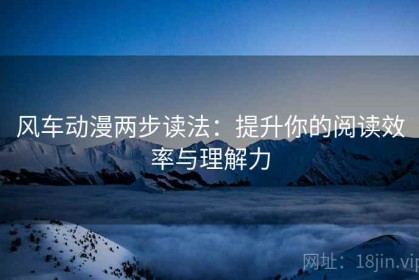 风车动漫两步读法：提升你的阅读效率与理解力
