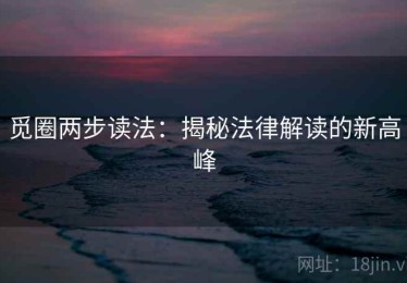 觅圈两步读法：揭秘法律解读的新高峰