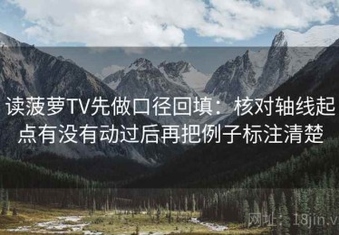 读菠萝TV先做口径回填：核对轴线起点有没有动过后再把例子标注清楚
