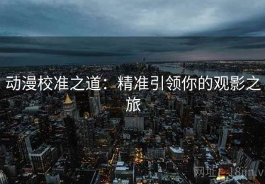 动漫校准之道：精准引领你的观影之旅