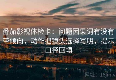 番茄影视体检卡：问题因果词有没有带倾向，动作把镜头选择写明，提示口径回填