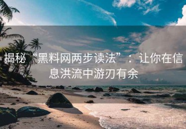 揭秘“黑料网两步读法”：让你在信息洪流中游刃有余