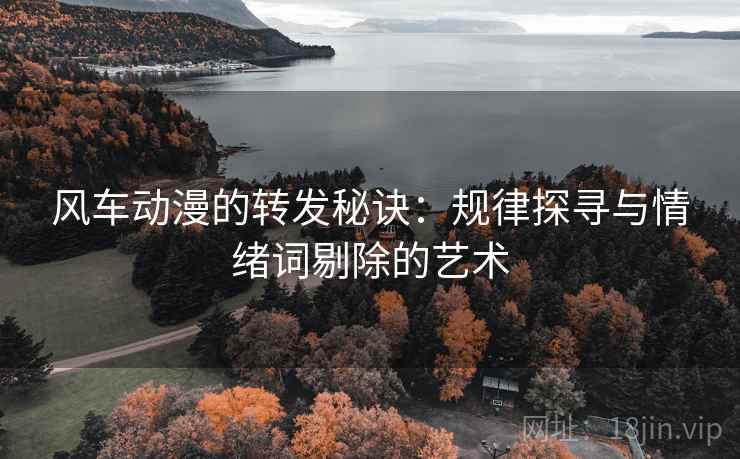 风车动漫的转发秘诀：规律探寻与情绪词剔除的艺术