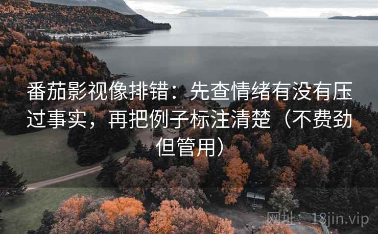 番茄影视像排错：先查情绪有没有压过事实，再把例子标注清楚（不费劲但管用）