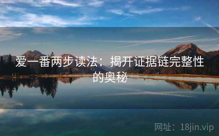 爱一番两步读法：揭开证据链完整性的奥秘