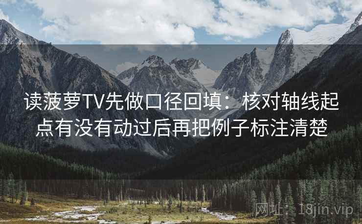 读菠萝TV先做口径回填：核对轴线起点有没有动过后再把例子标注清楚